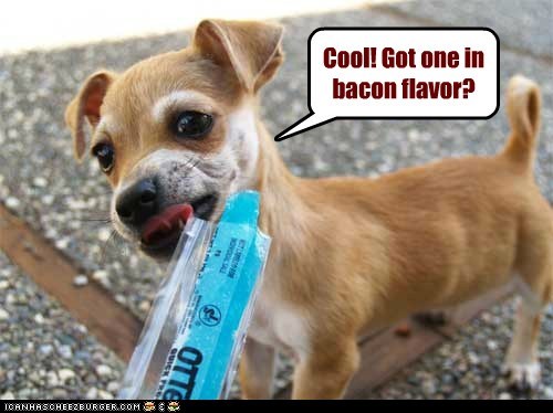 Or just bacon...