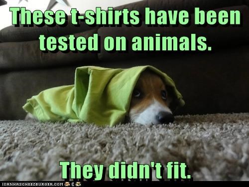 Animal Testing 