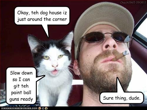 A driveby: LOLcat vershun