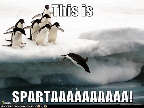 This is  SPARTAAAAAAAAAA!
