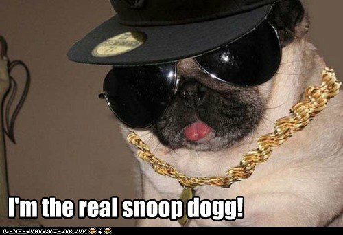 I'm the real snoop dogg!