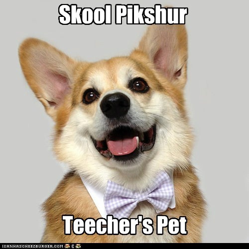 Skool Pikshur