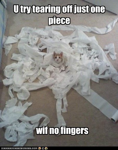 Lolcats: Yeah, so there!1!!!