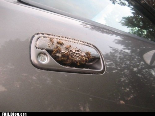 Car Door FAIL