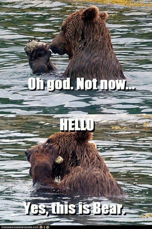 I Told You Never to Call This Number, Dog!