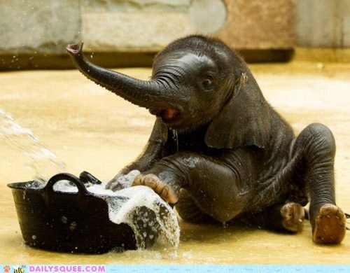 Bath Time Shenanigans 
