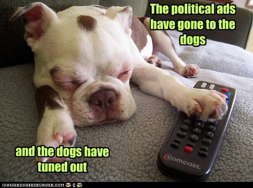 I Has A Hotdog: Political Ads 