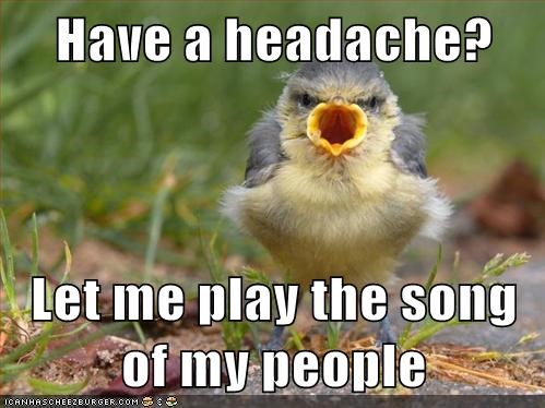 Animal Capshunz: Don't They Know it's Sunday?