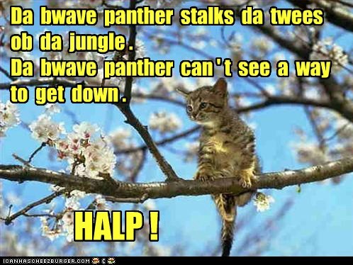 Sez da bwave panther.