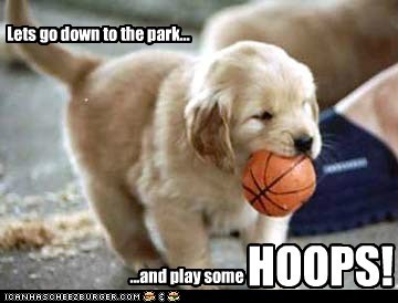 Air Bud 