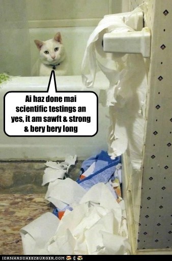 Ai haz done mai scientific testings an yes, it am sawft & strong & bery bery long