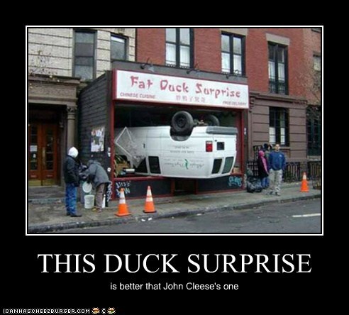 THIS DUCK SURPRISE