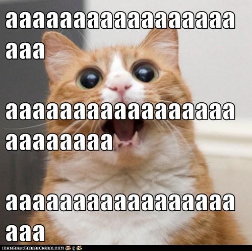 aaaaaaaaaaaaaaaaaaaa aaaaaaaaaaaaaaaaaaaaaaaaa aaaaaaaaaaaaaaaaaaaa