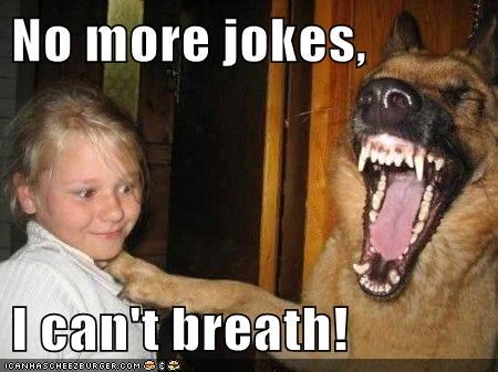 LMFAO