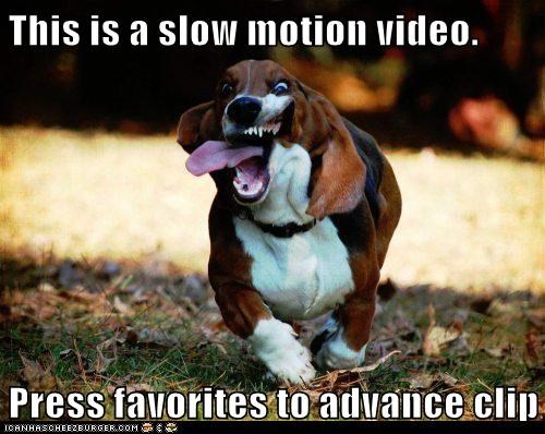 This is a slow motion video.  Press favorites to advance clip