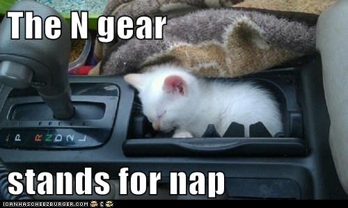 The N gear  stands for nap