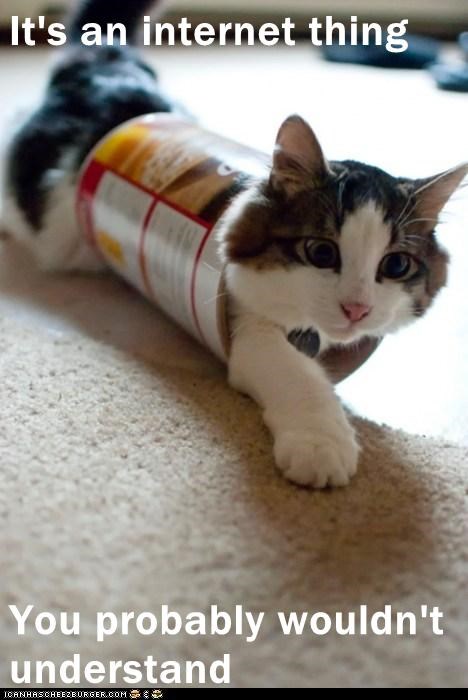 Lolcats: It's an internet thing 