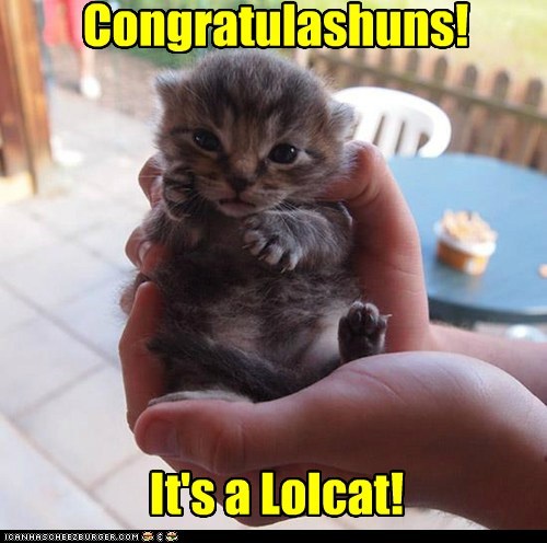 Lolcats: U mus be bery prowd!