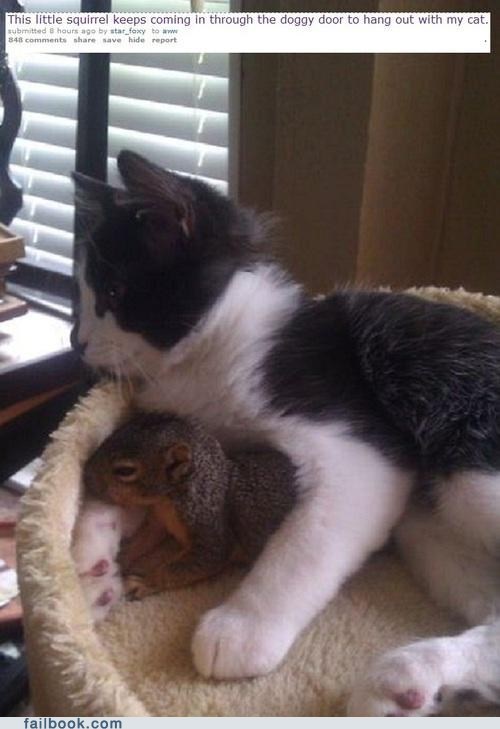 Failbook: Best Bros
