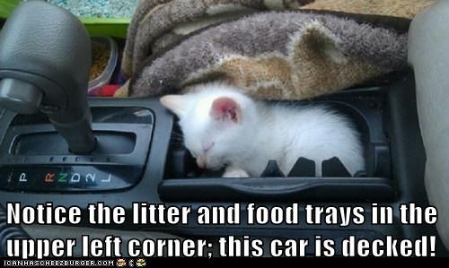 Notice the litter and food trays in the upper left corner; this car is decked!