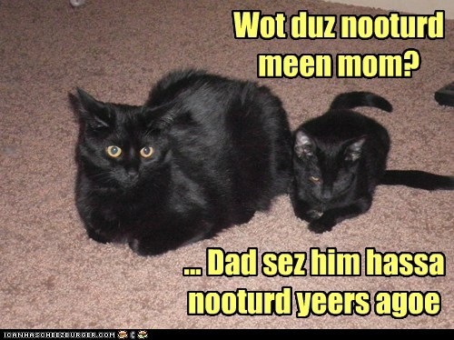 Lolcats: Wot duz nooturd meen mom?