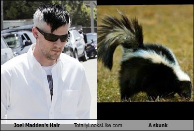 Joel Madden's Hair Totally Looks Like a Skunk
