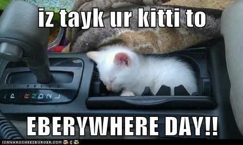 iz tayk ur kitti