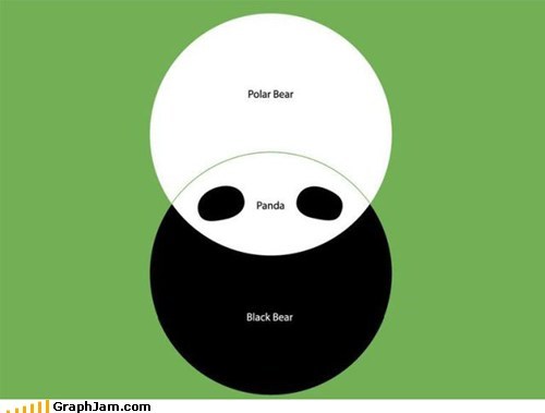 Classic: Bear Diagram