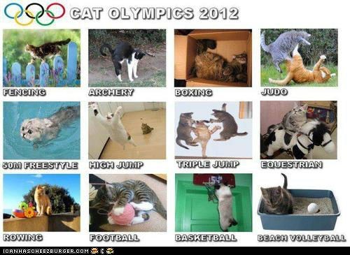 Cat Olympics 2012