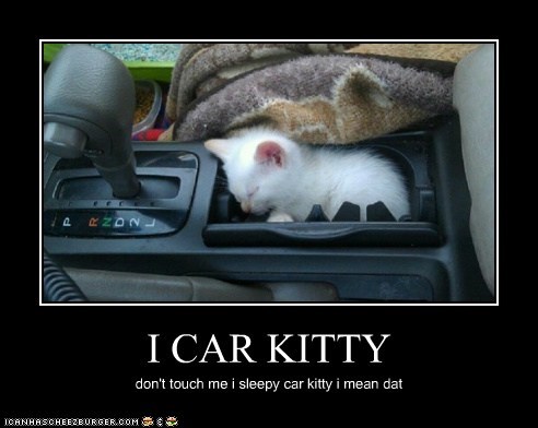 I CAR KITTY