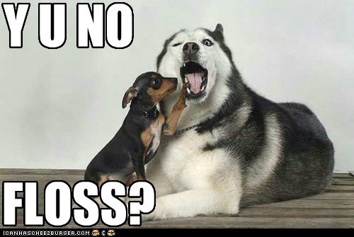Dentistry Dawg haz a disappoint