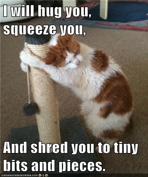 Lolcats: I will hug you, squeeze you...
