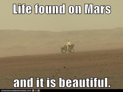 Life found on Mars  and it is beautiful.