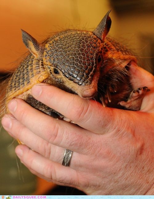 Squee Spree: Hairy Baby 