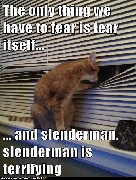 The only thing we have to fear is fear itself...  ... and slenderman. slenderman is terrifying
