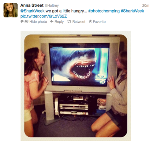 Shark Week Shenanigans of the Day