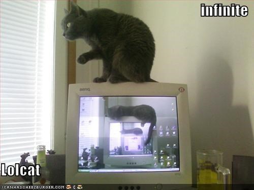 infinite  Lolcat