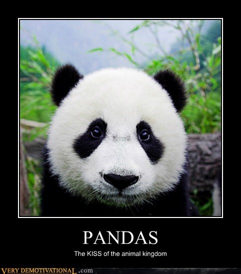 PANDAS