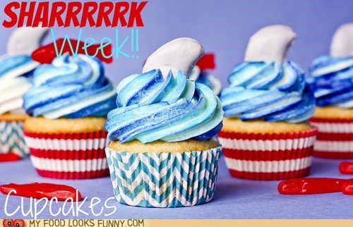 Celebrate Shark Week the Right Way
