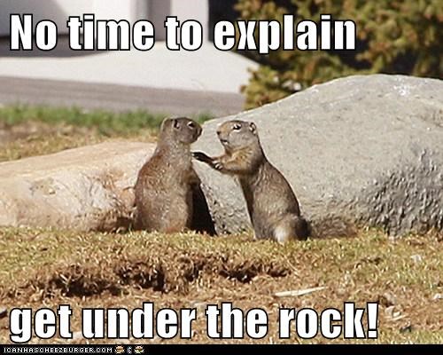 No time to explain  get under the rock!