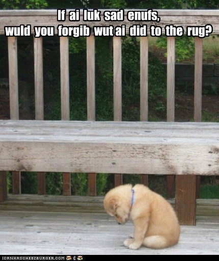 Furgibness plz?