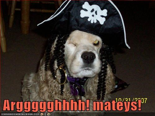 Ai b Captin Bluu Furr