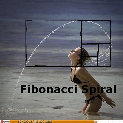 Math is EVERYWHERE