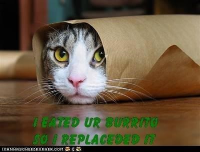 I eated ur burrito