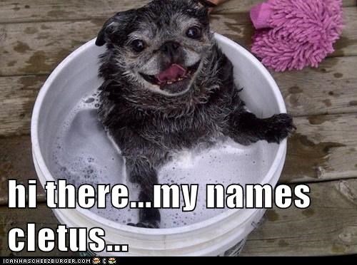 hi there...my names cletus...