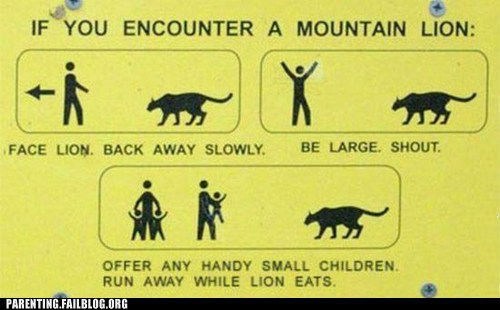 Parenting Fails: How to Survive in the Presence of a Mountain Lion