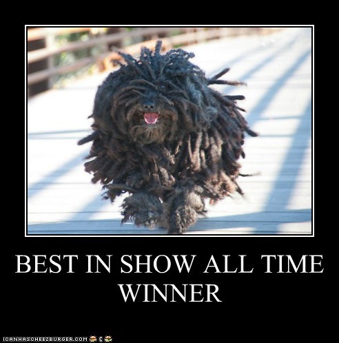 BEST IN SHOW ALL TIME WINNER