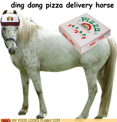 Where is That Damn Horse?