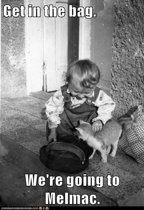 Get in the bag.  