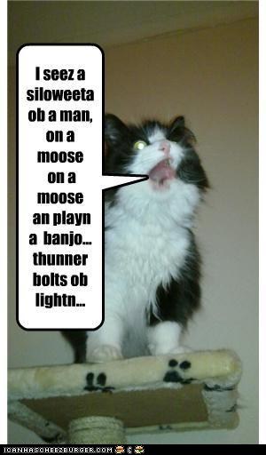 Classic LOLcat